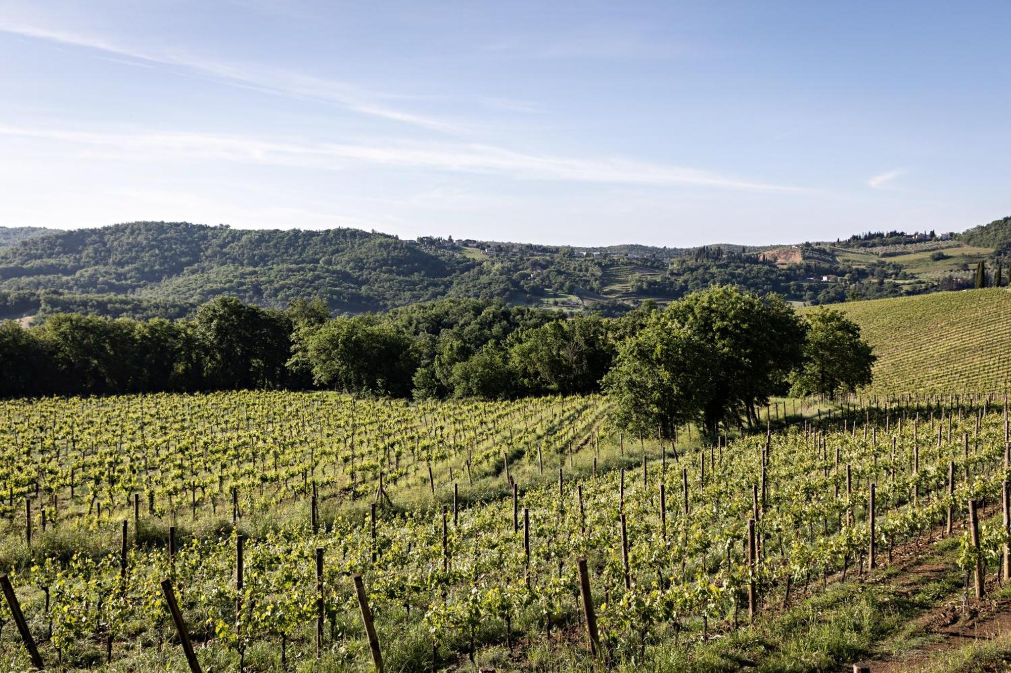 Pieve Aldina Relais & Chateaux Radda In Chianti Esterno foto
